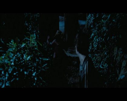 PDVD_2708.jpg