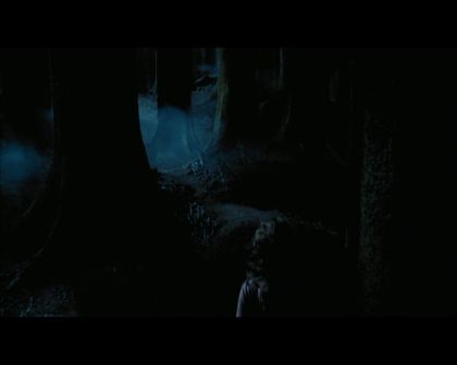 PDVD_2713.jpg