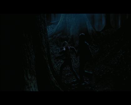 PDVD_2721.jpg