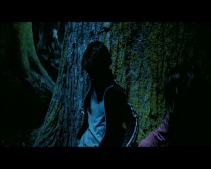 PDVD_2728.jpg