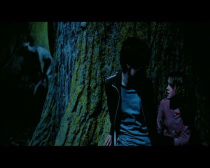 PDVD_2729.jpg