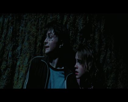 PDVD_2731.jpg