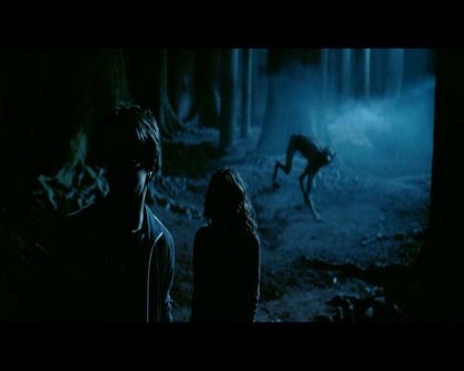 PDVD_2737.jpg