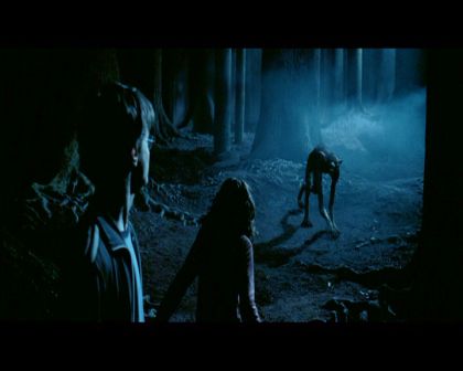 PDVD_2738.jpg