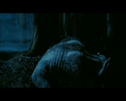PDVD_2741.jpg