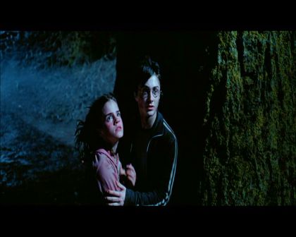 PDVD_2755.jpg