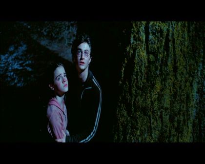 PDVD_2758.jpg