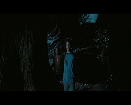 PDVD_2767.jpg