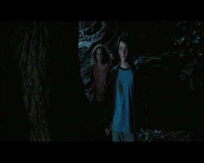 PDVD_2773.jpg