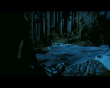 PDVD_2779.jpg