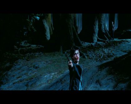PDVD_2797.jpg