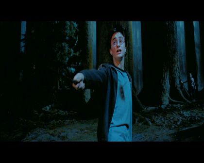 PDVD_2829.jpg