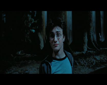 PDVD_2831.jpg