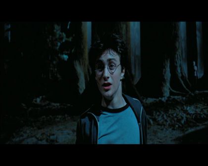 PDVD_2832.jpg