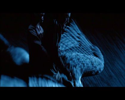 PDVD_2844.jpg