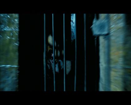 PDVD_2850.jpg