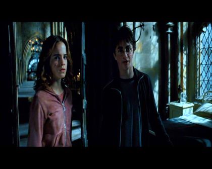 PDVD_2930.jpg