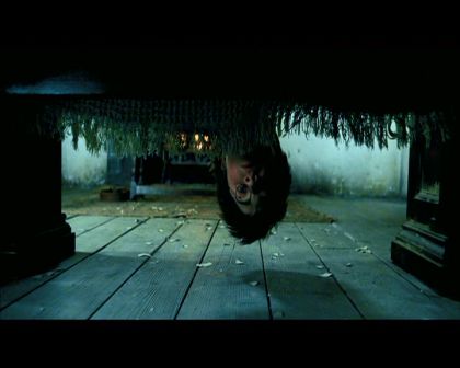 PDVD_333.jpg