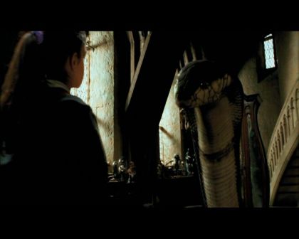 PDVD_899.jpg