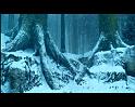 PDVD_1301