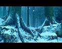 PDVD_1302