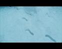 PDVD_1385