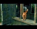 PDVD_1528