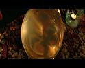 PDVD_1694