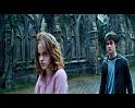 PDVD_1728