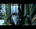 PDVD_1729