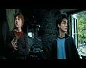 PDVD_1795