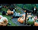 PDVD_1822
