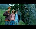 PDVD_1831