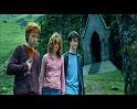 PDVD_1835