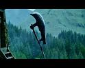 PDVD_1837