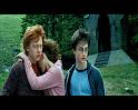 PDVD_1841