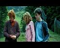 PDVD_1847