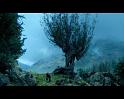 PDVD_1858
