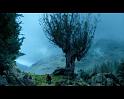 PDVD_1859