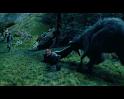 PDVD_1878