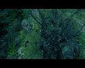 PDVD_1919