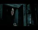 PDVD_2021