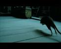 PDVD_2088
