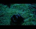 PDVD_2200