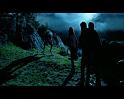 PDVD_2215