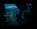 PDVD_2239