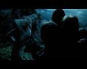 PDVD_2251