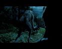 PDVD_2252