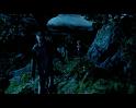 PDVD_2257