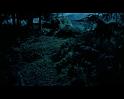 PDVD_2260